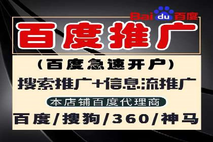 某知名企业SEM营销推广的全面策略